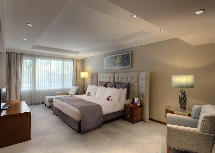 One-Bedroom King Suite